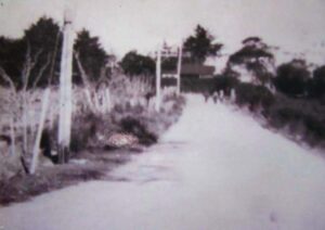 Looking south on South Arm Road in 1940